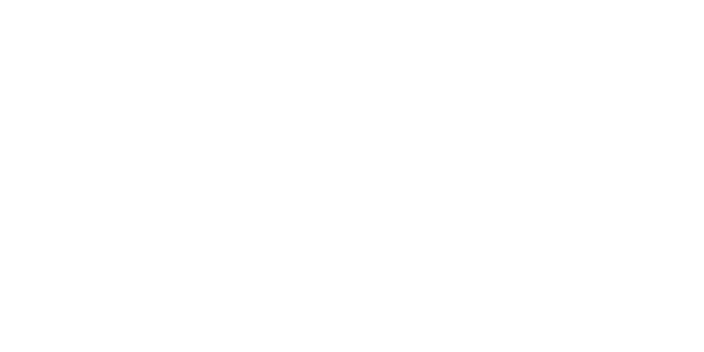 Action Plan